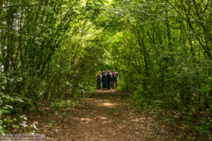 Auf dem Weg zu einer Vogelbeobachtungshütte