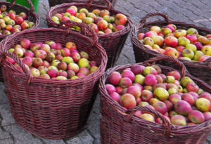 agu-schwelm,de - Äpfel