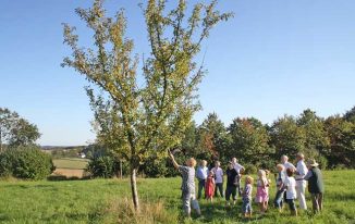 Grundstück "Am Tannenbaum" agu-schwelm