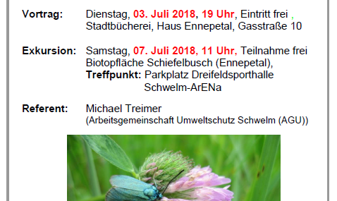 Insektenwelt eine Veranstaltung der Stadt Ennepetal und der AGU Schwelm