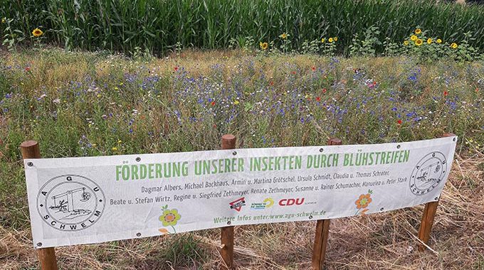 Blühwiesen in Schwelm und Umgebung