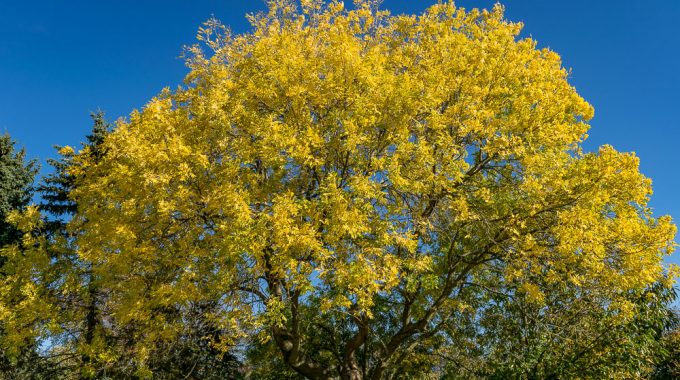Klimawandel und Stadtklima in Schwelm