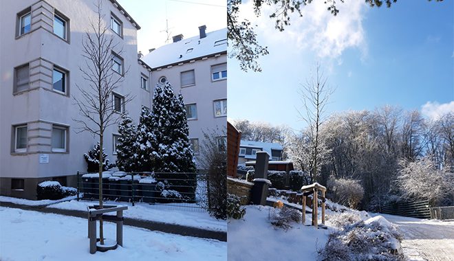 AGU Baumpatenschaften