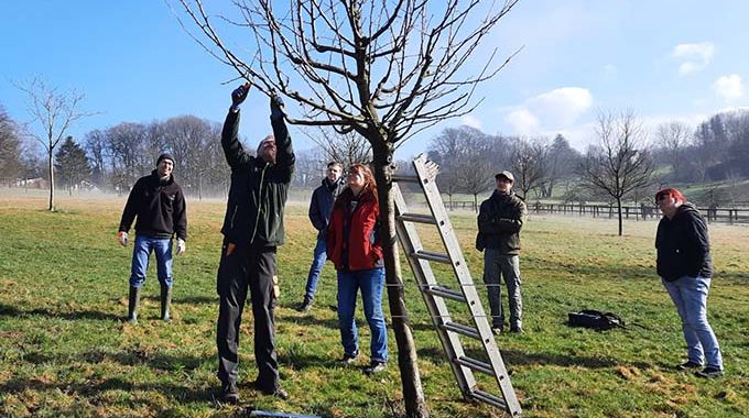 Obstbaumschnitt-Seminar 2022