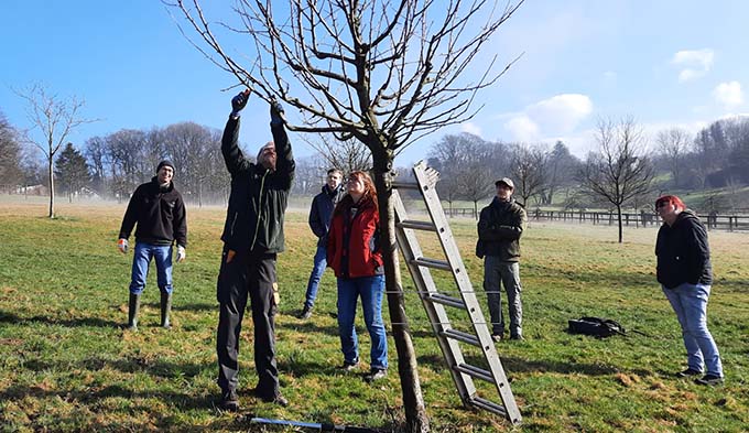 Sebastian Ernst zeigt den richtigen Baumschnitt