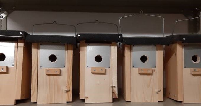 Schwelmer Grundschulen bauen mit AGU Nistkästen