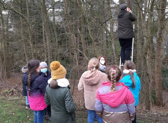 Nistästen werden aufgehängt