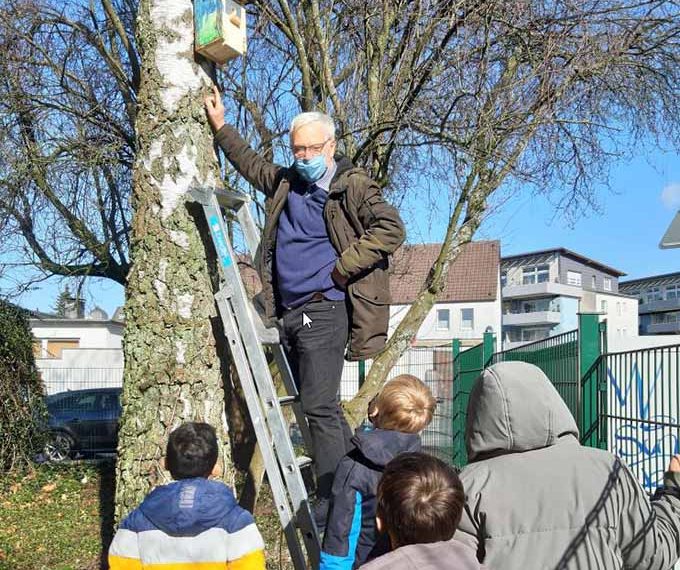 Die Nistkästen nhängen im Schulbereich