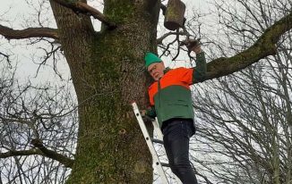 Nistkästen säubern