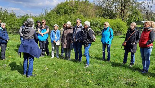 Viele interessierte waren bei der Kräuterwanderung dabei
