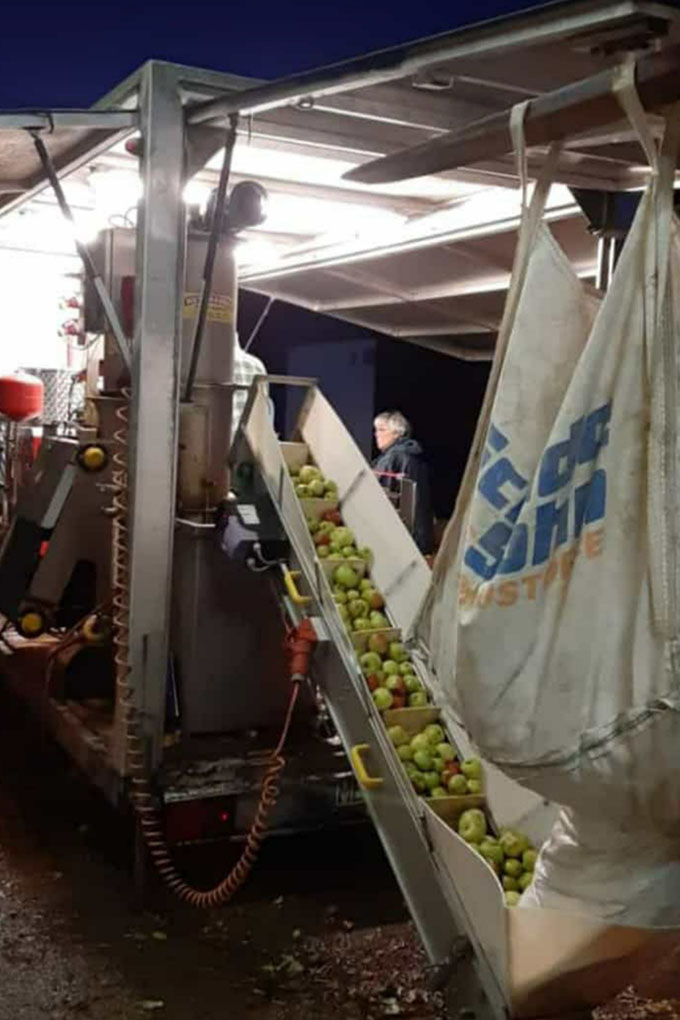 Vor dem Waschen und Pressen werden faulige Äpfel am Förderband aussortiert Vor dem Waschen und Pressen werden faulige Äpfel aussortiert