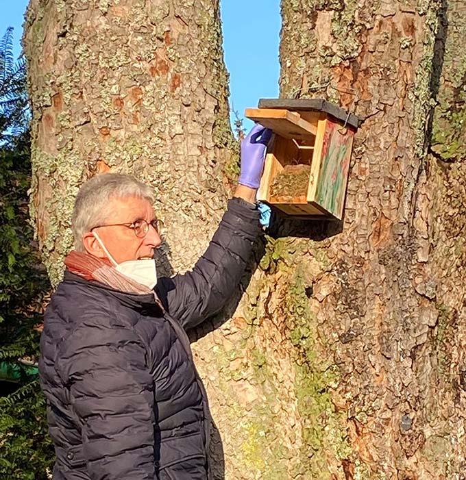 Geöffneter Nistasten
