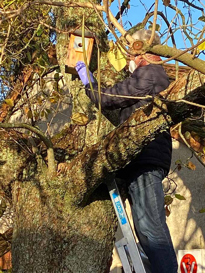 Kontrolle eines Nistkastens