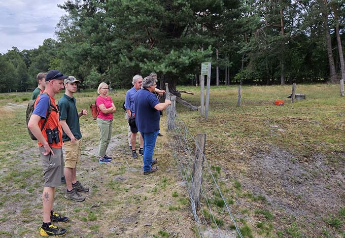 Erklärungen zur Entstehung der Erdfallseen durch Dr. Kronshage Erklärungen zur Entstehung der Erdfallseen durch Dr. Kronshage