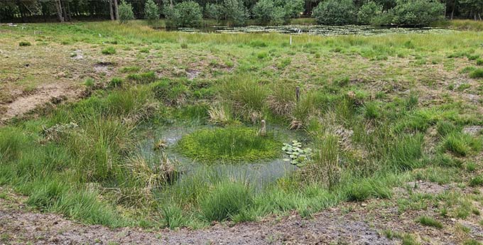 Die Bildung von Erdfallseen: ein Prozess, bei dem der Boden nachgibt und Vertiefungen bildet. Die Bildung von Erdfallseen: ein Prozess, bei dem der Boden nachgibt und Vertiefungen bildet.