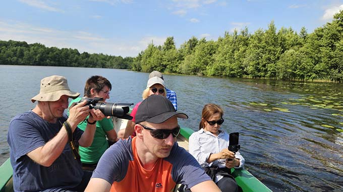 Blick vom Boot auf die Pflanzenwelt - Foto: © Peter Stark Blick vom Boot auf die Pflanzenwelt - Foto: © Peter Stark