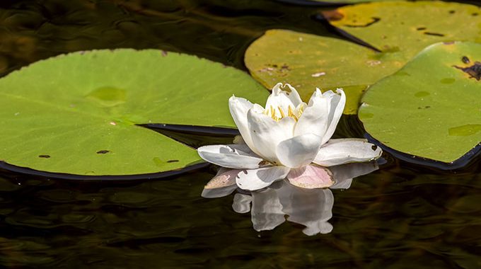 AGU-Exkursion zum Heiligen Meer in Recke